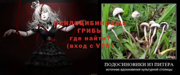 прущий лед Аркадак